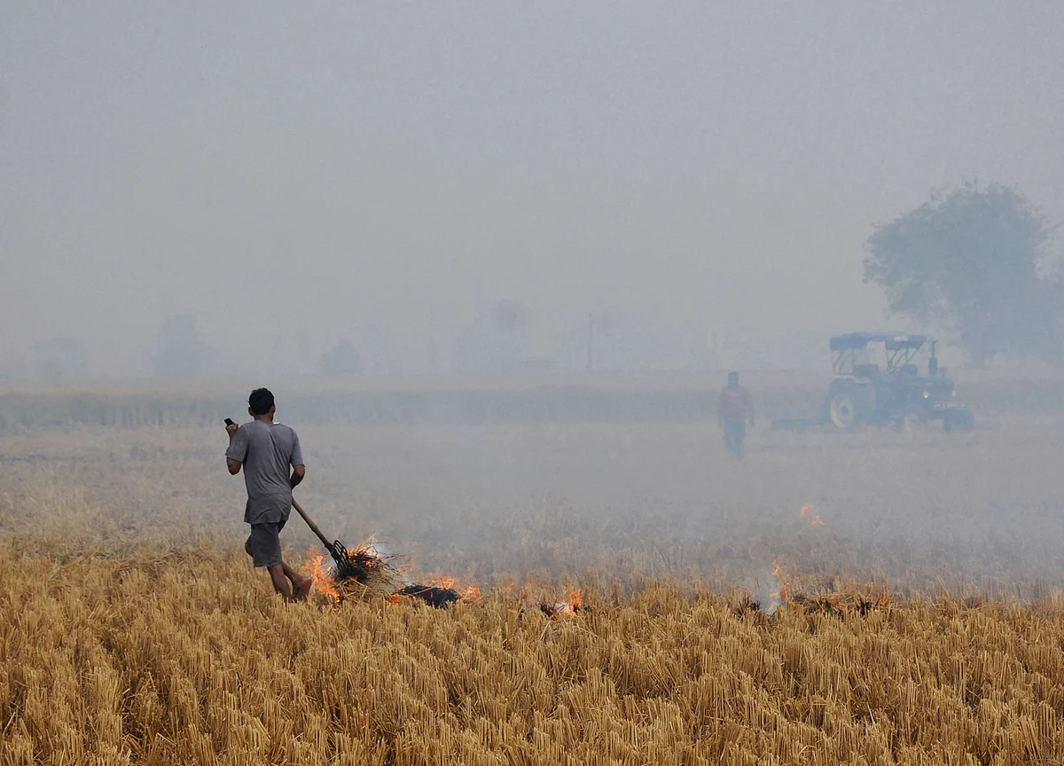 Delhi Pollution: Supreme Court Orders Three States To Financially Help Farmers