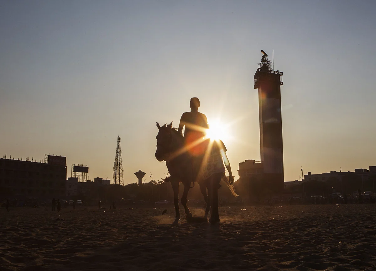 Animal Spirits in India Show the Slowdown May be Bottoming Out