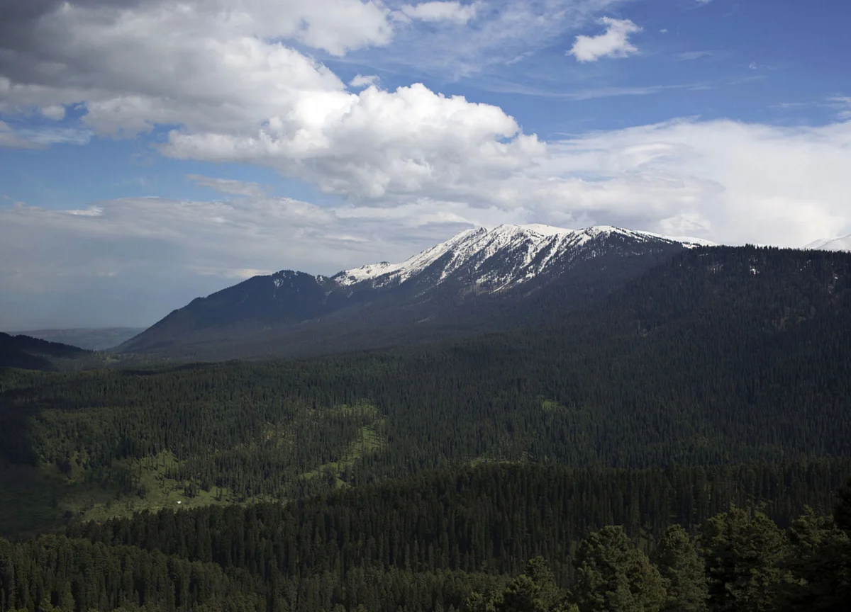 Total Tree, Forest Cover Increases By 5,188 Sq. Km In Two Years: India State Of Forest Report 2019