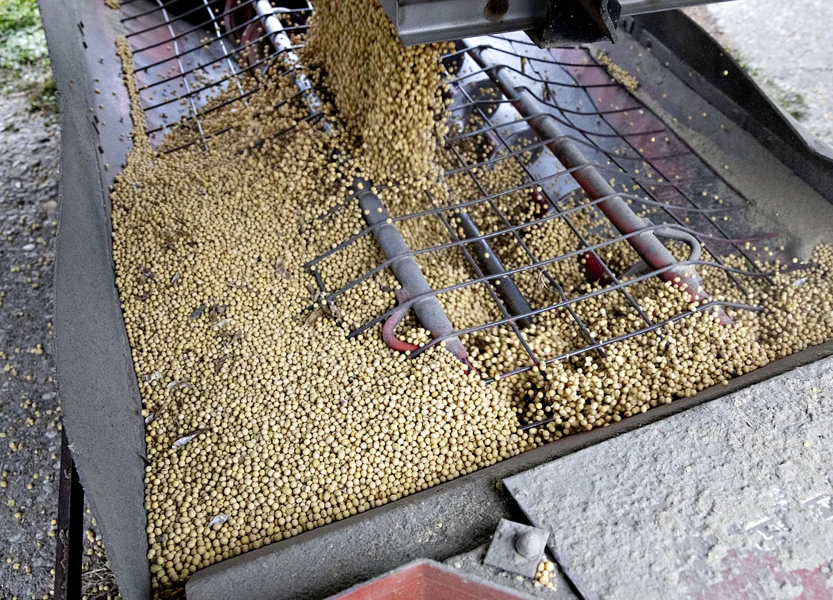 China to Grant Regular Tariff Waivers for U.S. Farm Imports