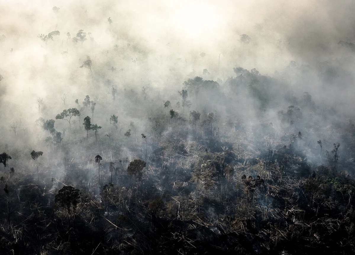 Global Warming Prediction Sounds Alarm for Climate Fight