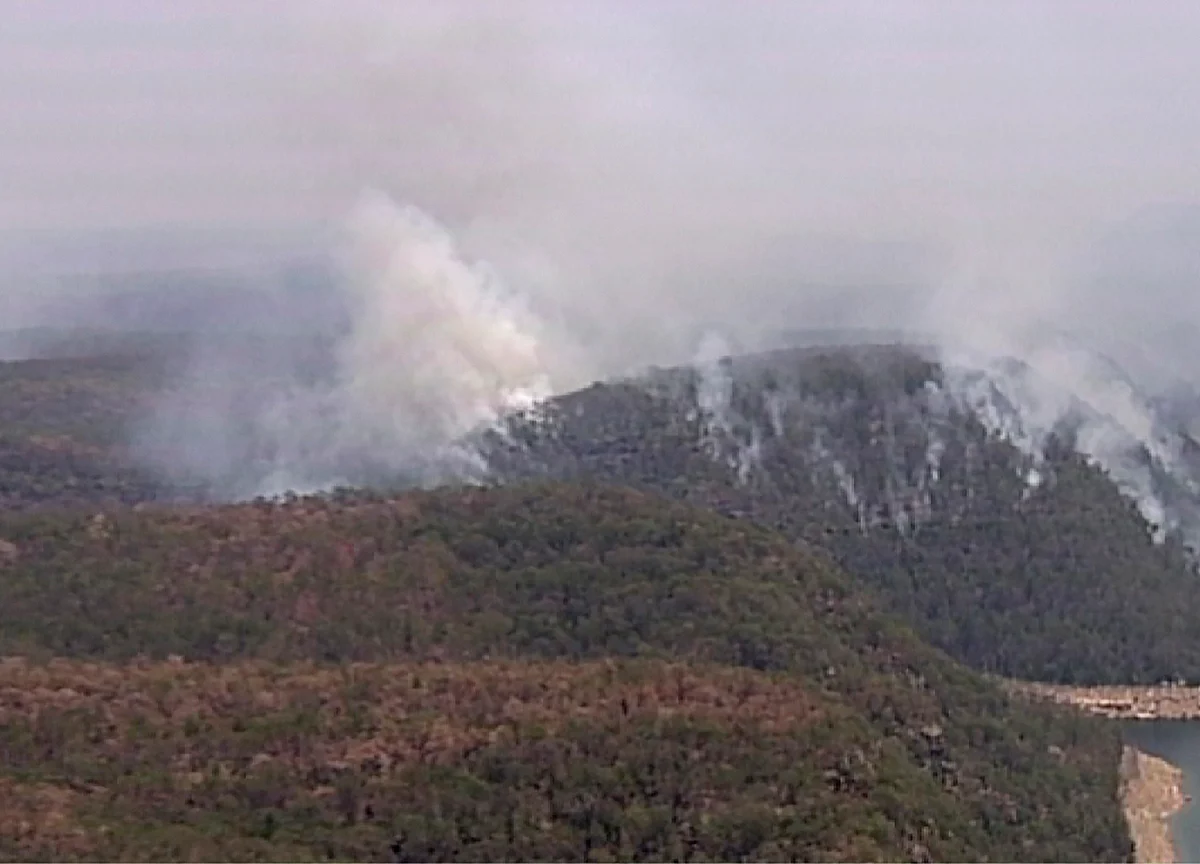 Australia Hit by Extreme Heatwave, Escalating Wildfire Threat