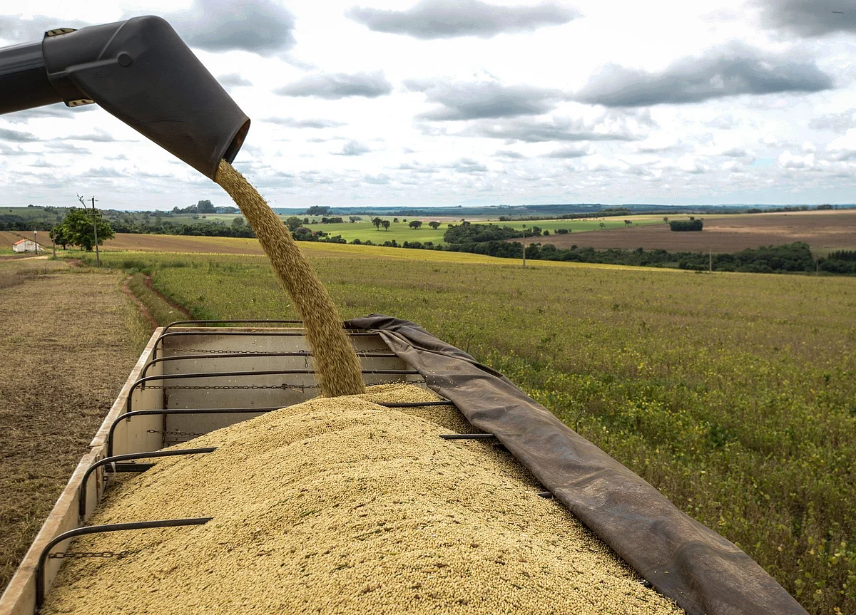 China’s Imports of U.S. Soy Surge to Highest in About 2 Years