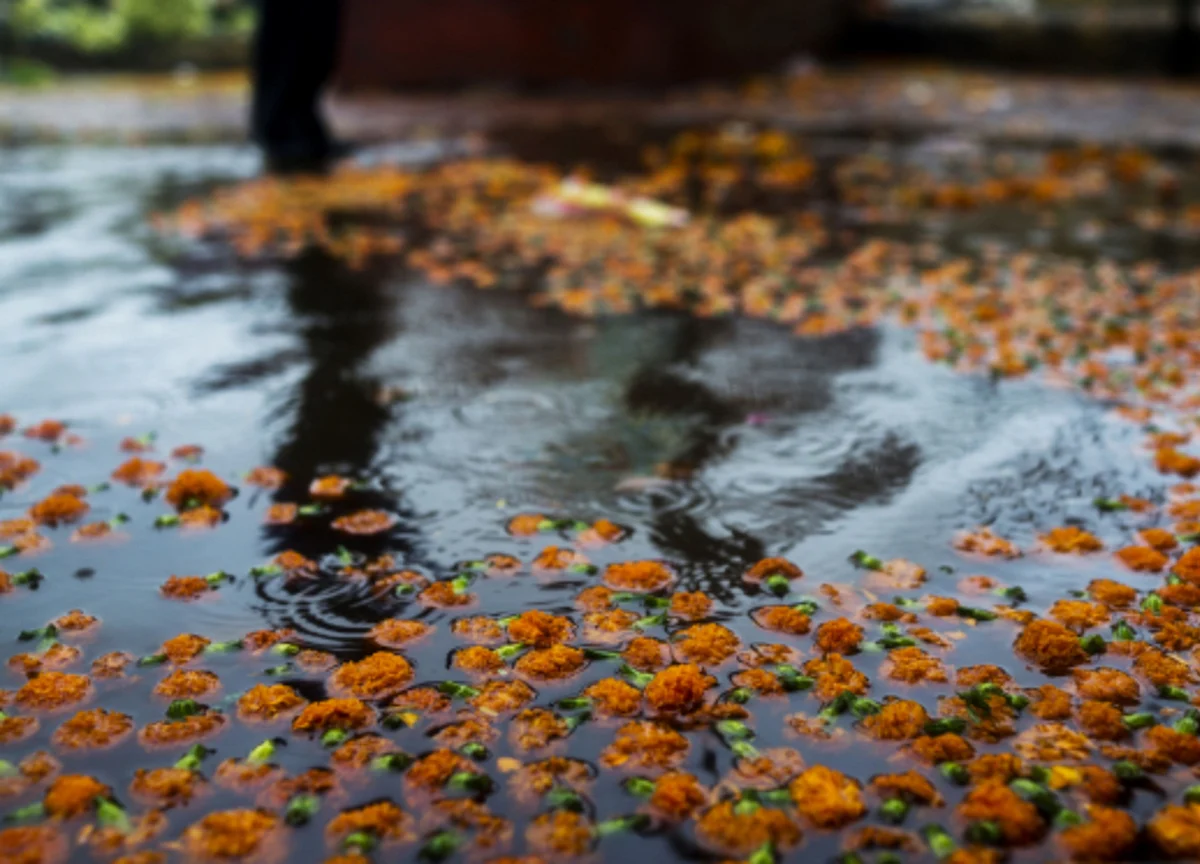 Delhi Records Highest December Rainfall In 22 Years