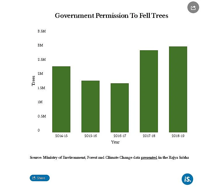 How India Managed Its Forests, Water And Waste In 2019