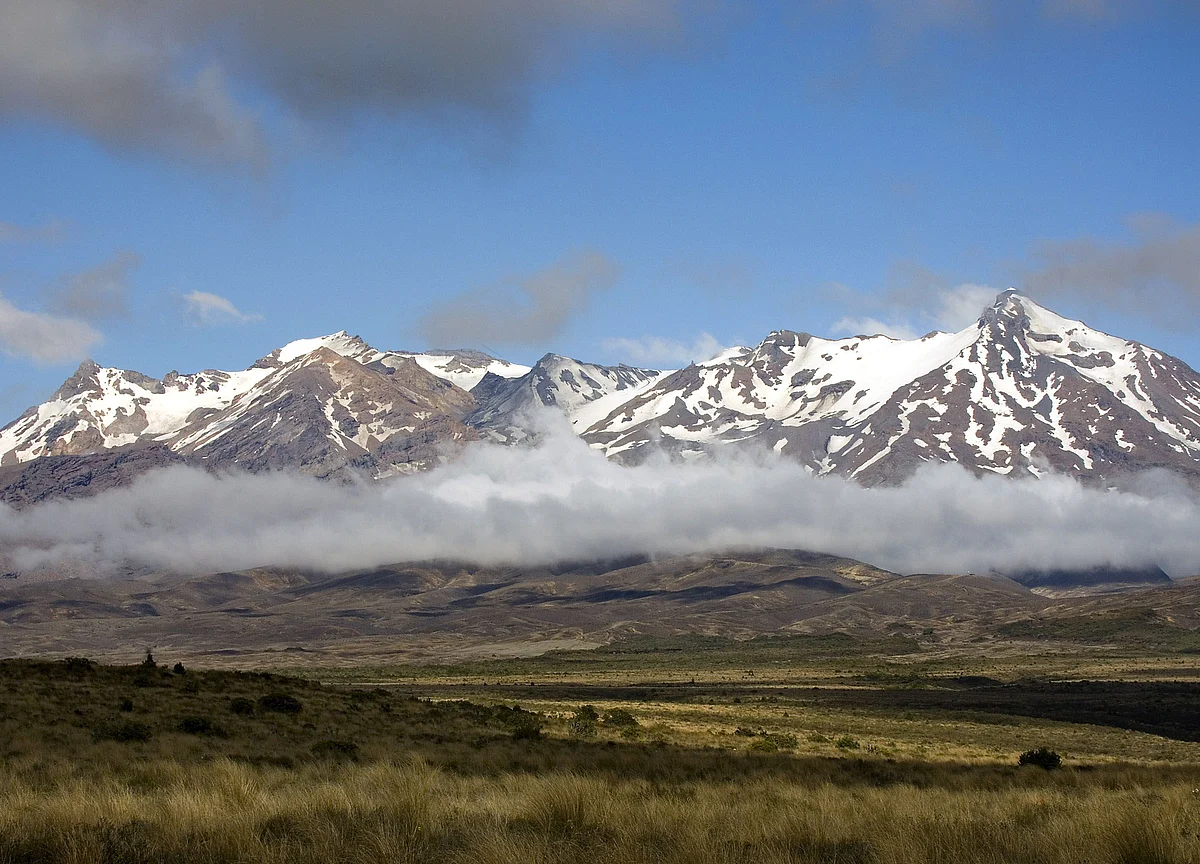 Death Toll From New Zealand Volcano Disaster Continues to Climb