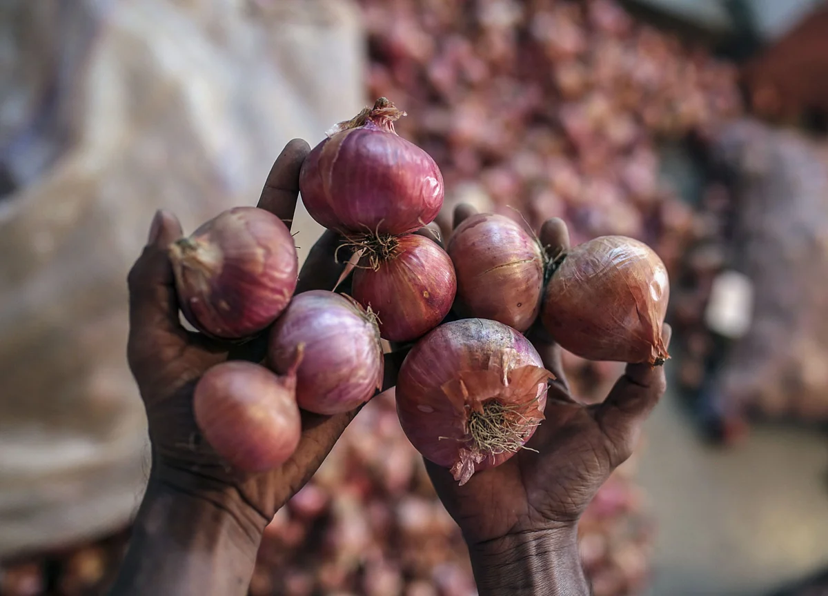 Government To Create 1 Lakh Tonne Onion Buffer Stock In 2020