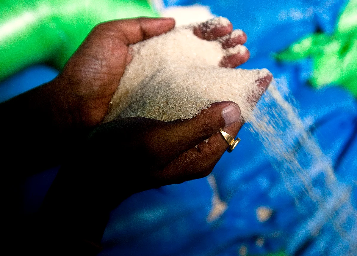 Why Indian Sugar Stocks Are In A Sweet Spot