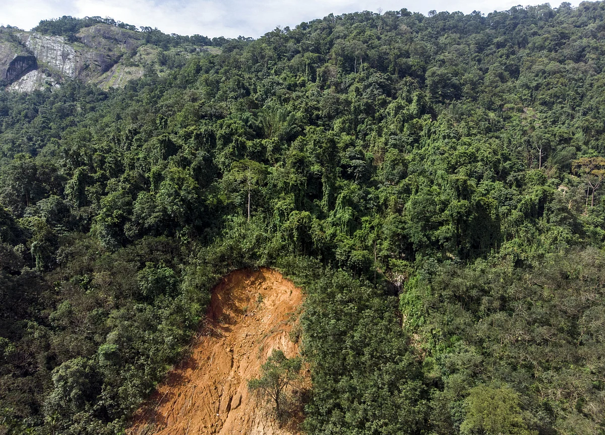 How India Managed Its Forests, Water And Waste In 2019