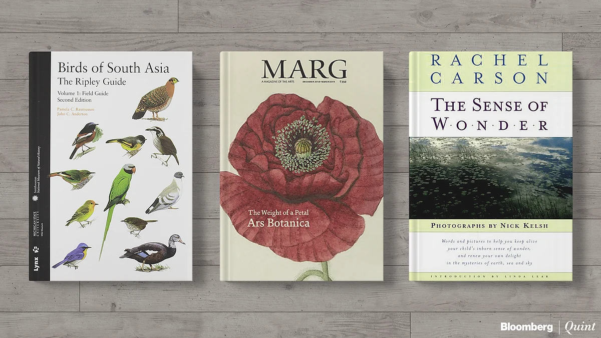 A Literary Wrap: 2019 Through Books