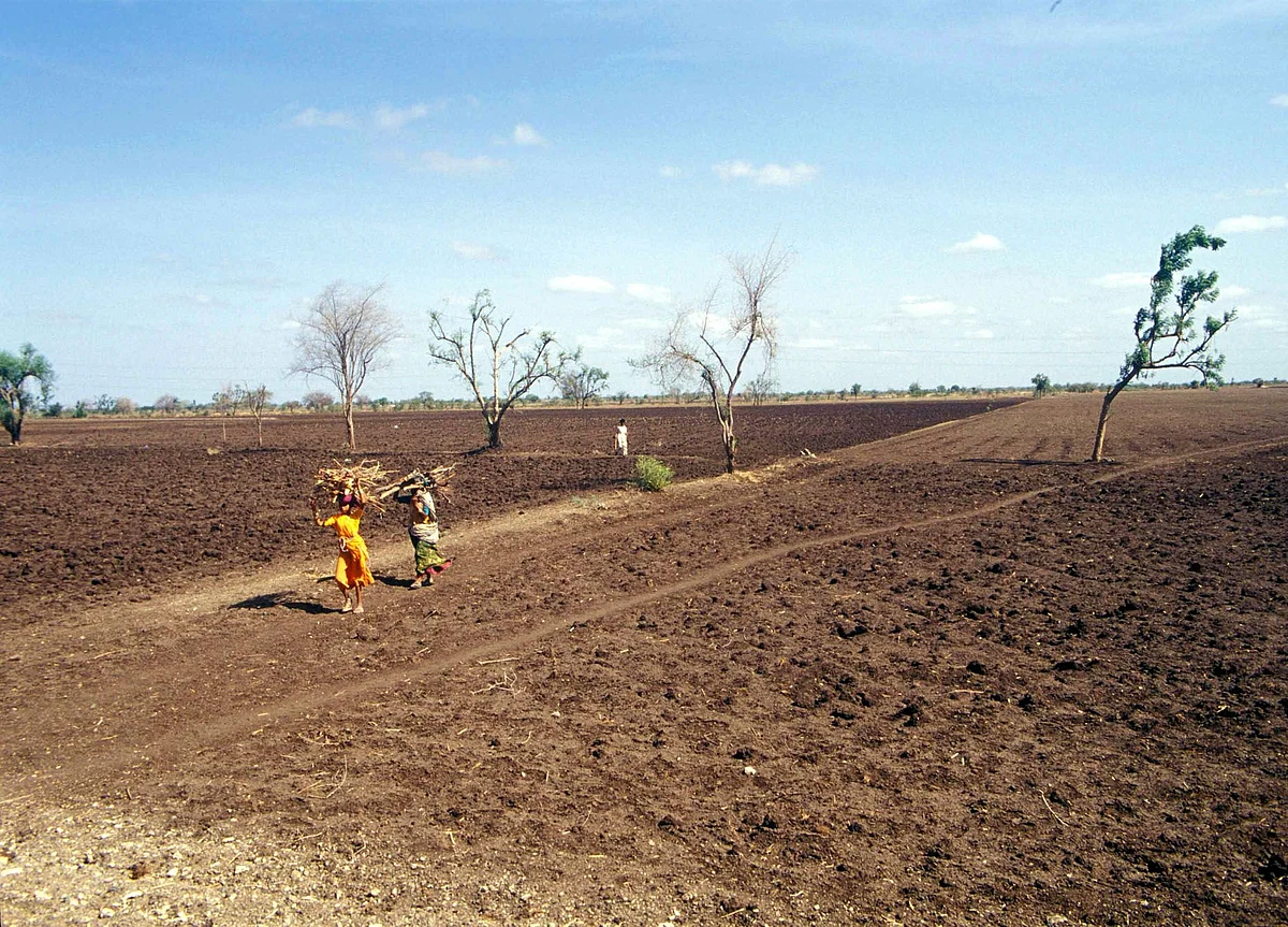 2019 Seventh Warmest Year Recorded In India Since 1901: Met Department