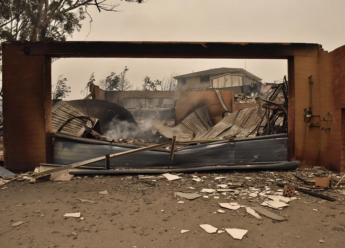 Deadly Australia Fires Spur Calls to Mitigate Disaster Risk