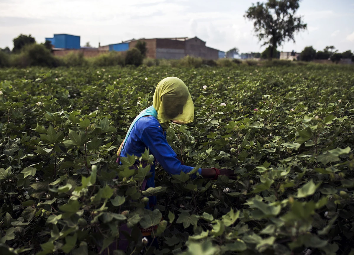 Over Five Crore Farmers Yet To Get Third Installment Of PM-Kisan Scheme: Government Data