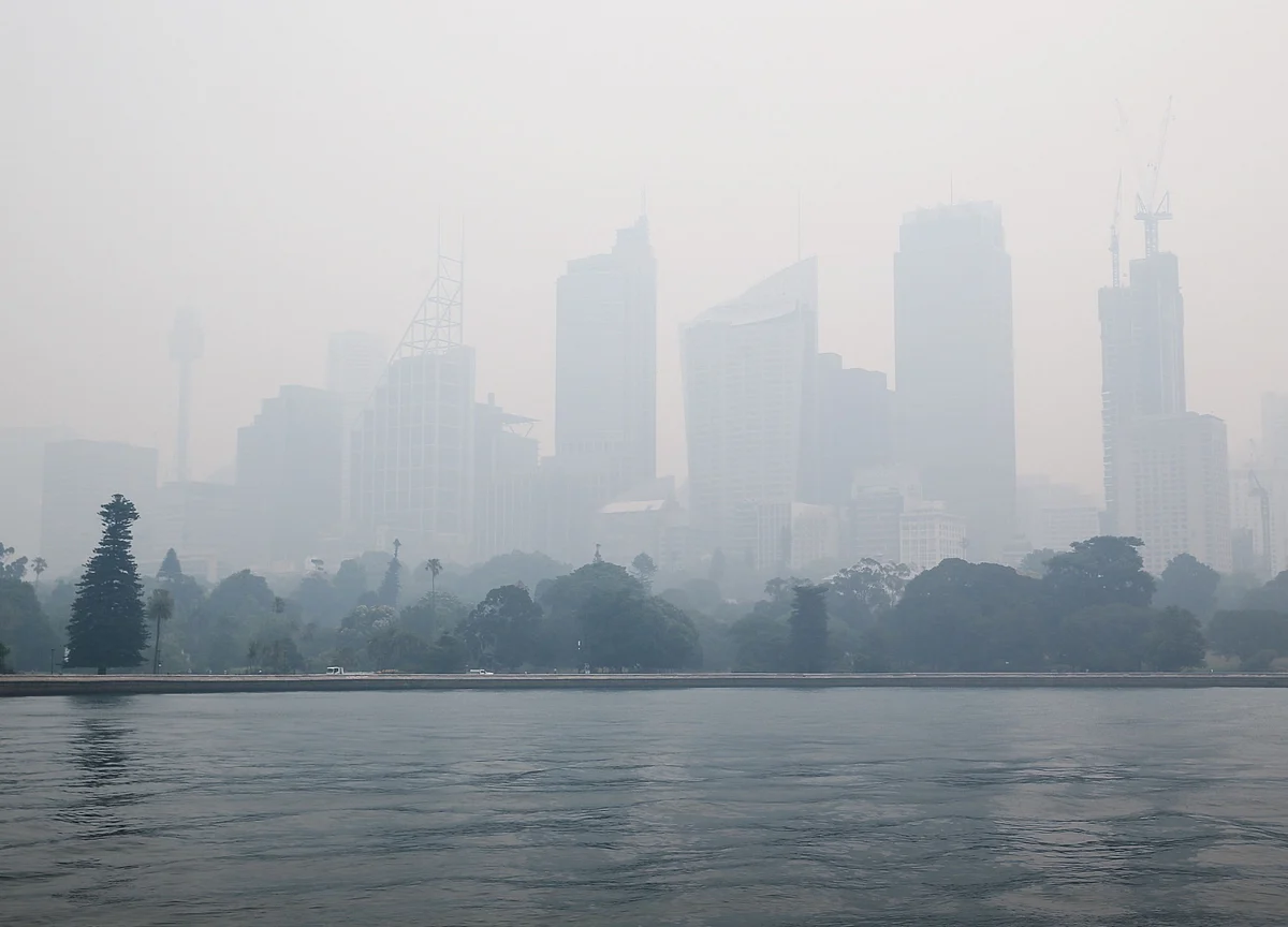 A Sense of Climate Urgency Takes Hold in Davos