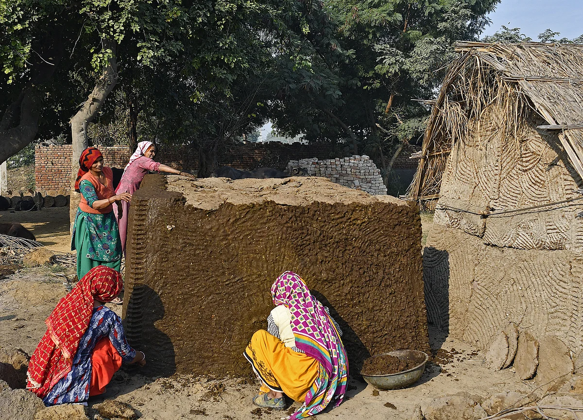 In Charts: How Indian States Fare On Key Development Indicators