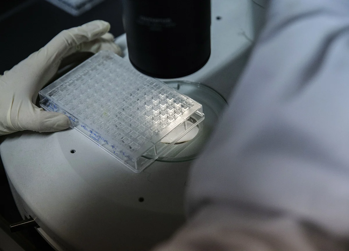 China’s Biggest Round of Drug Price Cuts Crowds Out Global Firms