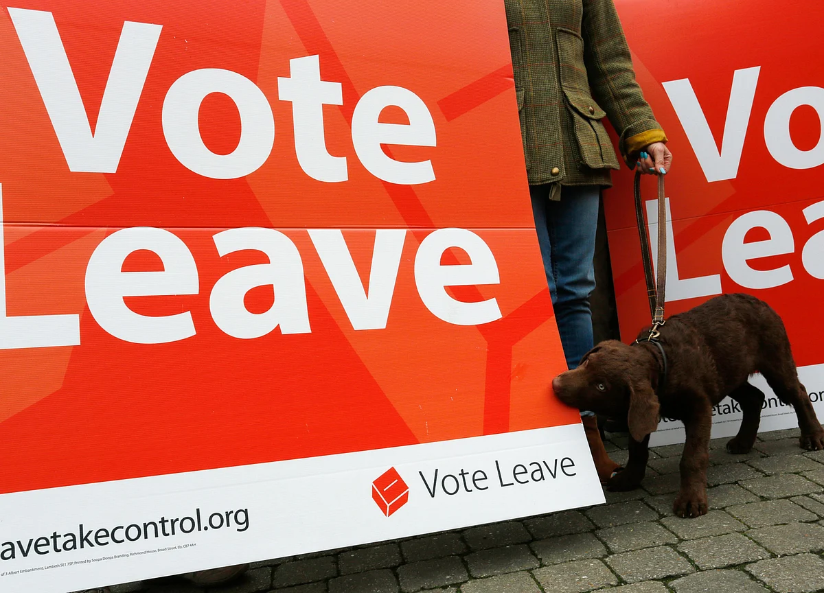 Brexit, Facebook, Endowments and Other Errors