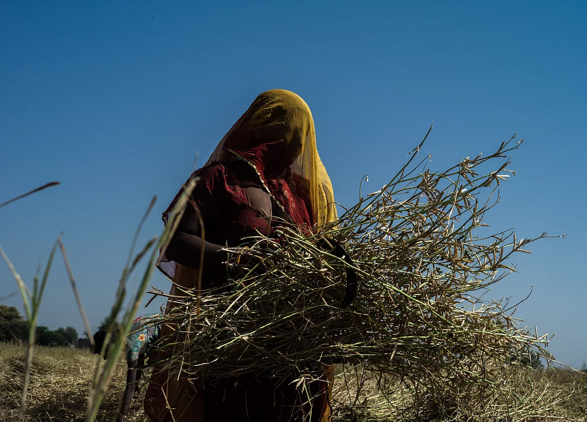 Crimes Against Women In 2019 Up By Nearly 50% In Rajasthan