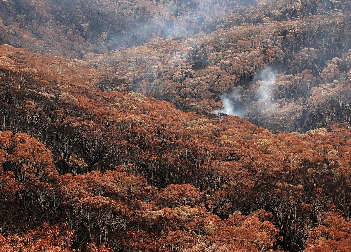 Australia Braces to Relive Its ‘Hotter Than Hell’ Wildfire Nightmare