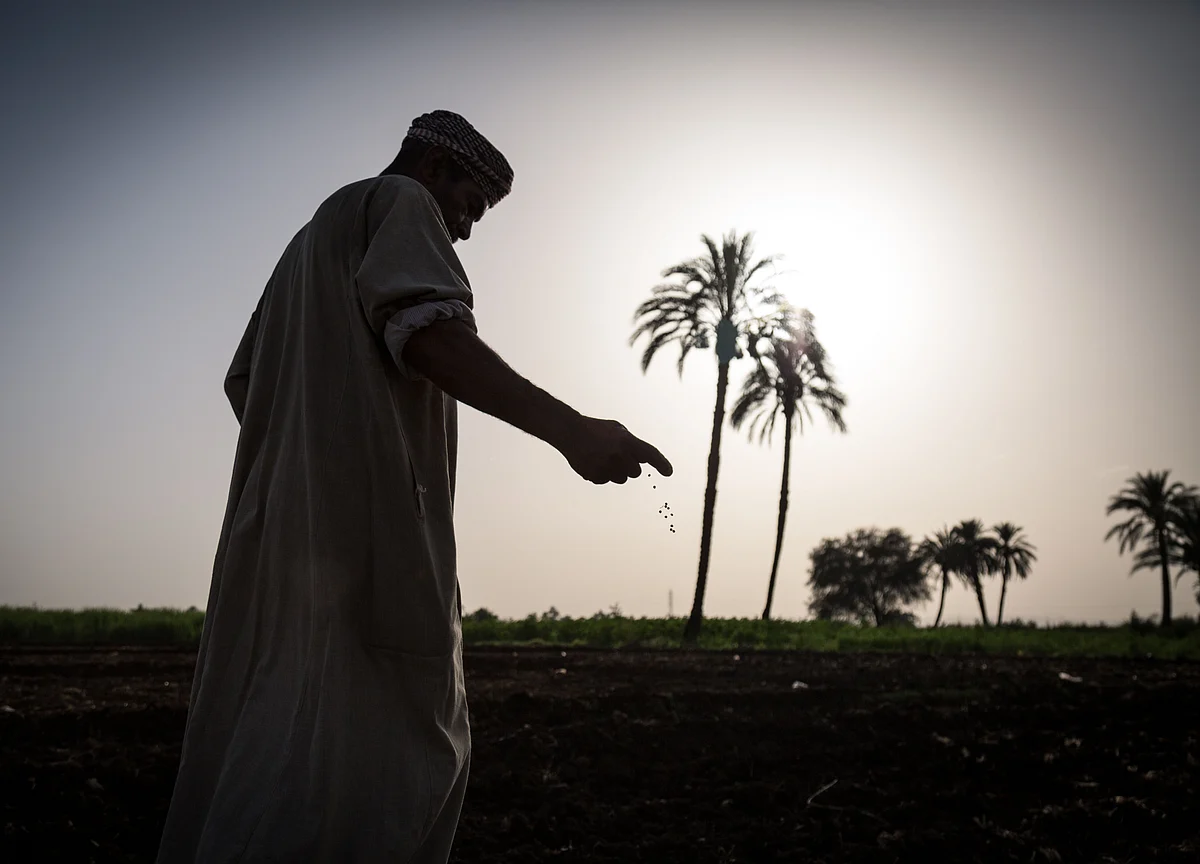 Global Temperatures Are Poised to Break Another Heat Record