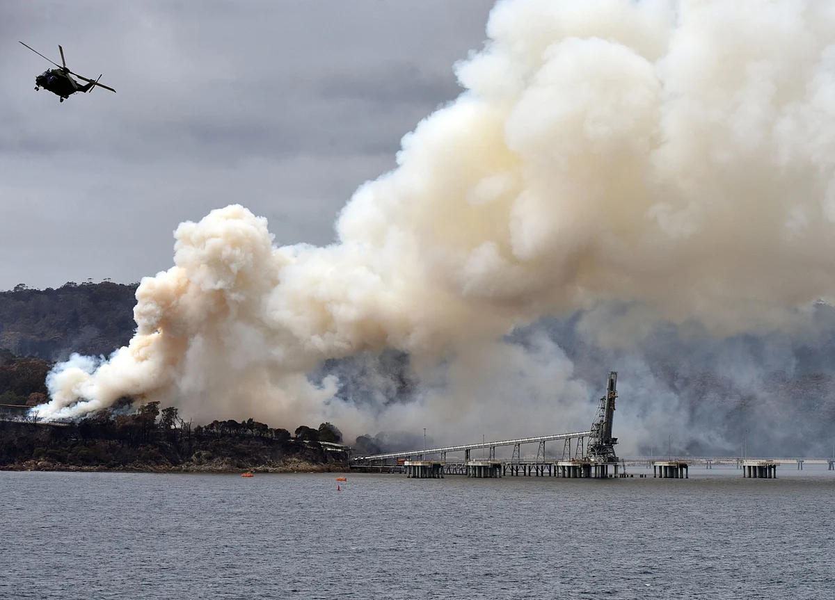 The Wildfire Crisis Is Starting to Hurt Australian Companies