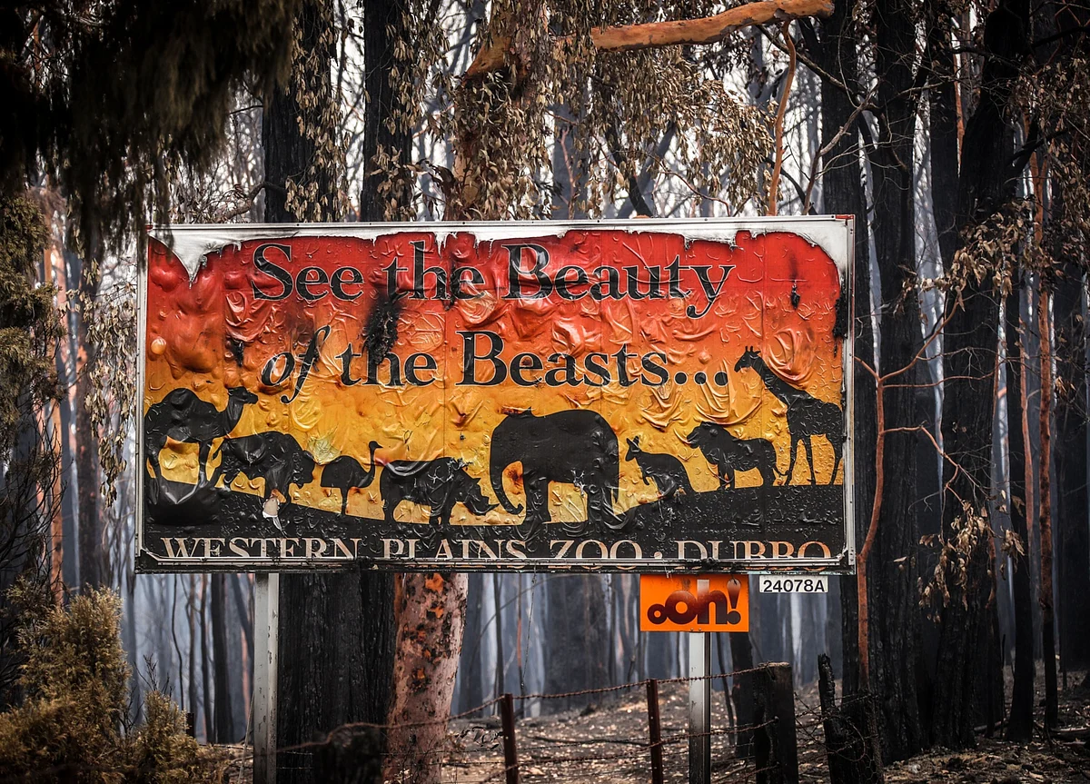 Half a Billion Animals Potentially Killed in Australia Wildfires