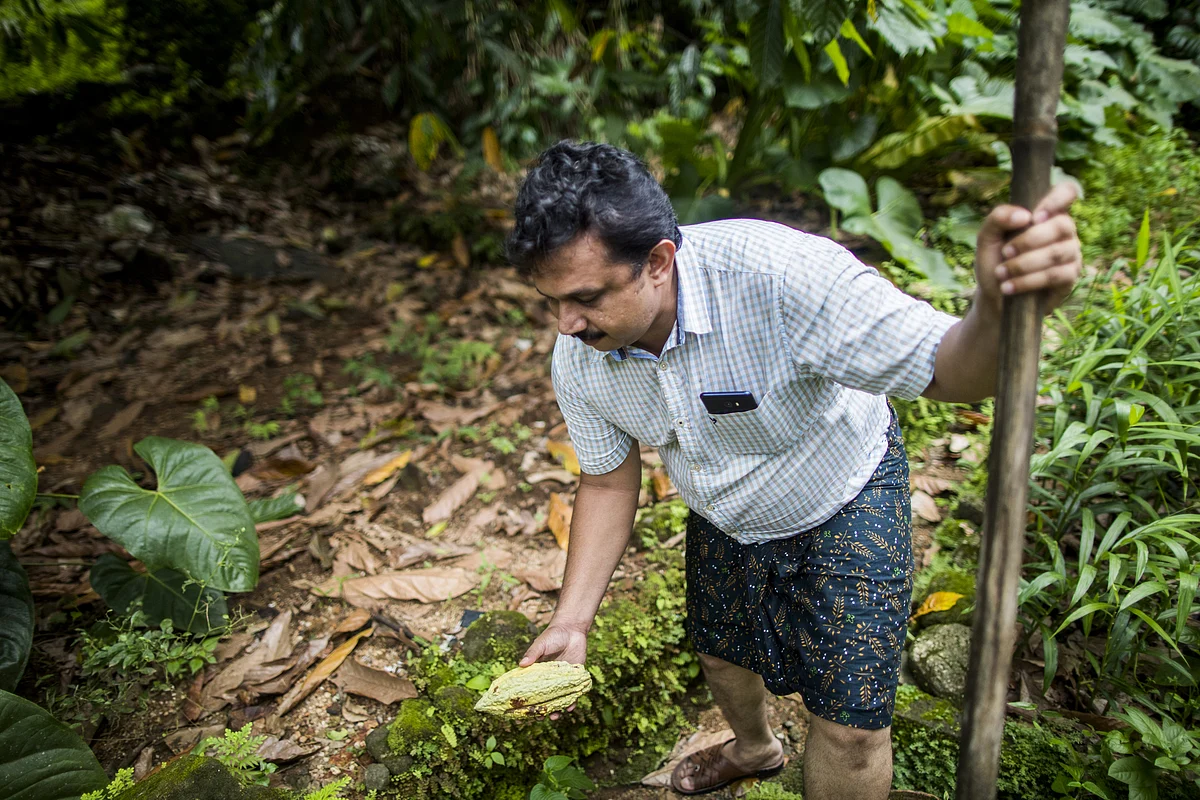 A Silver Lining Emerges For India’s Farm Sector