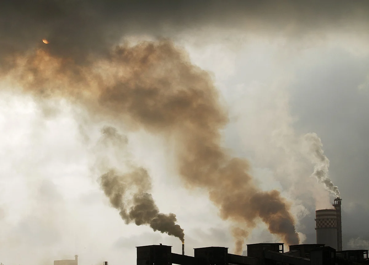 How Government’s Push For Ease Of Doing Business Is Compromising Environment Regulation