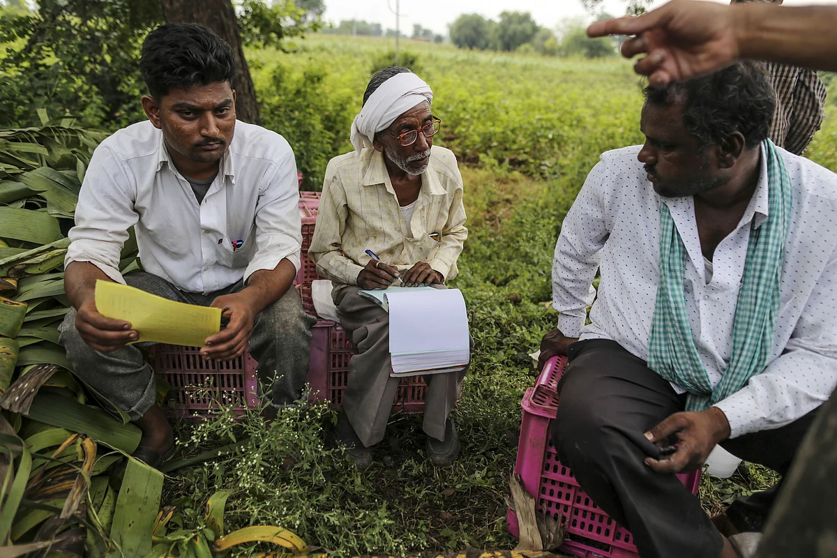 Workers during a harvest at a field in Jalgaon, Maharashtra. (Photographer: Dhiraj Singh/Bloomberg)