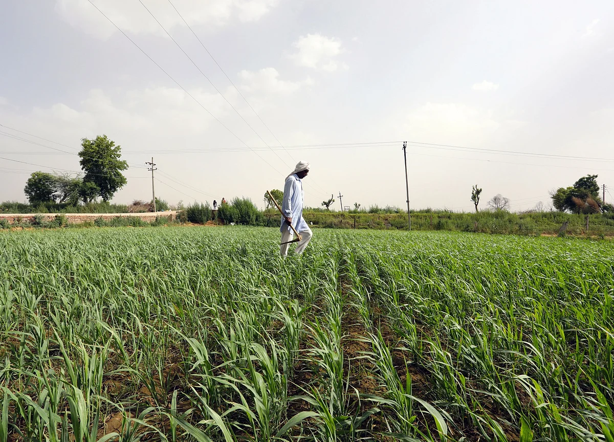 Budget 2020: Government Committed To Doubling Farm Income By 2022
