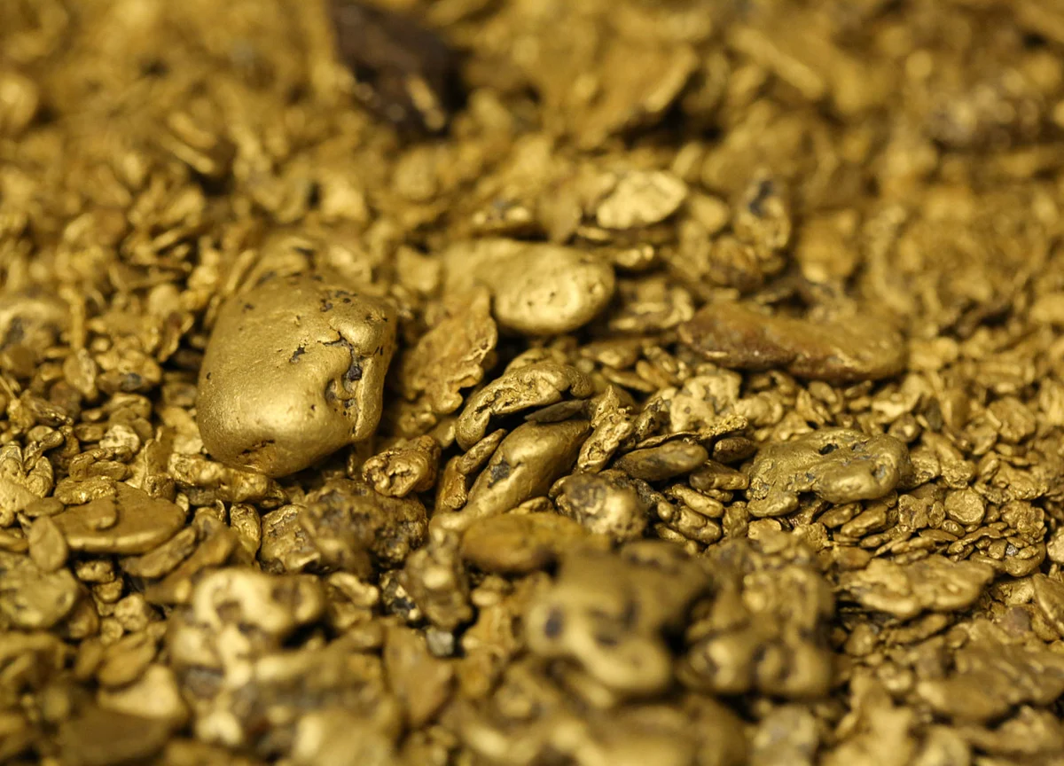 Gold Diggers Resist the Rally’s Lure