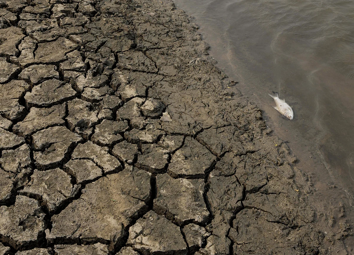 Thailand Hit by Worst Drought in 40 Years