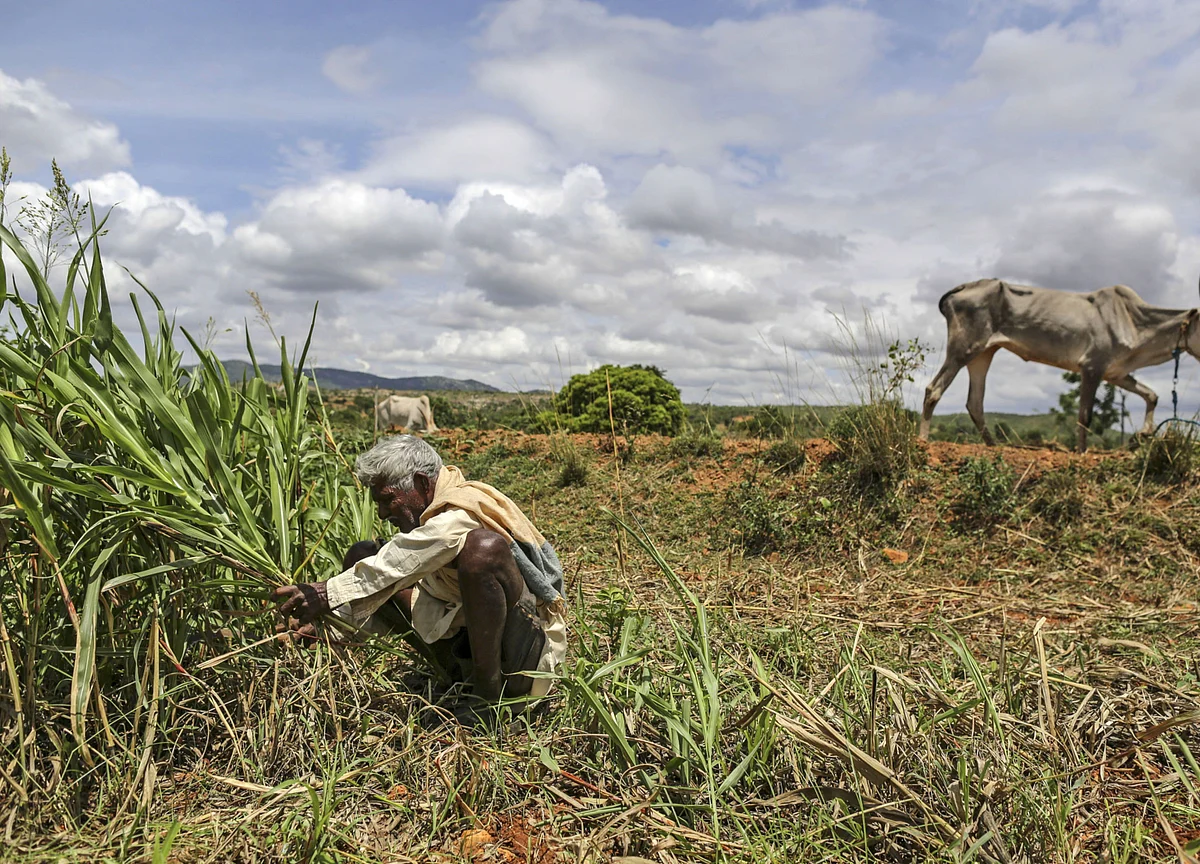 Government Disburses Rs 15,841 Crore Under PM-KISAN During Lockdown