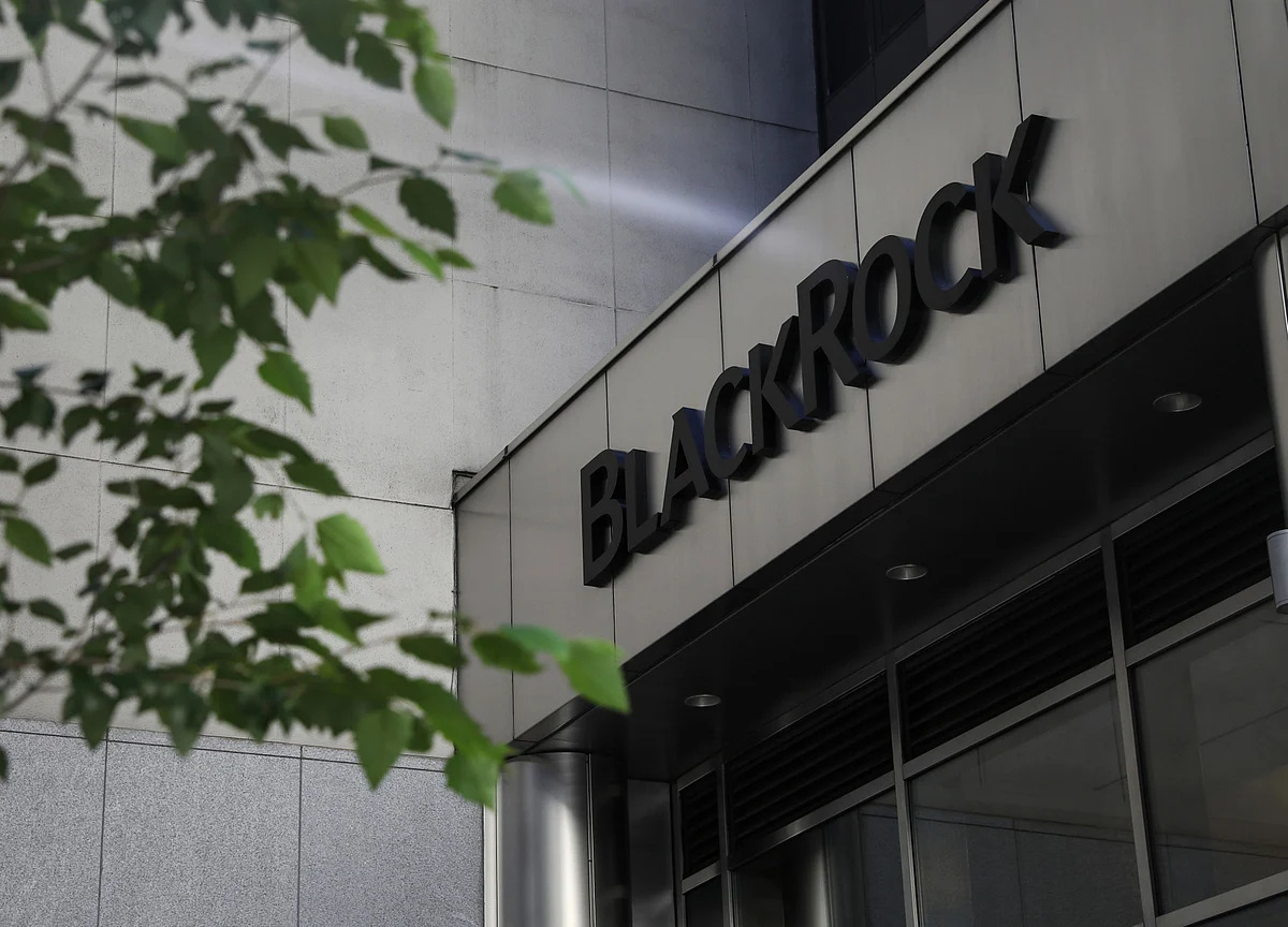 BlackRock Quant Says She Learned Resilience Working With Refugees