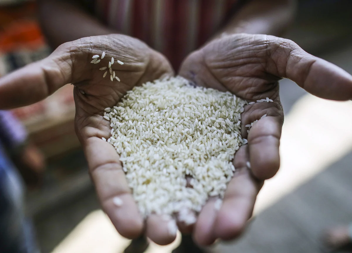 India Has Enough Food to Feed Poor If There’s a Prolonged Shutdown