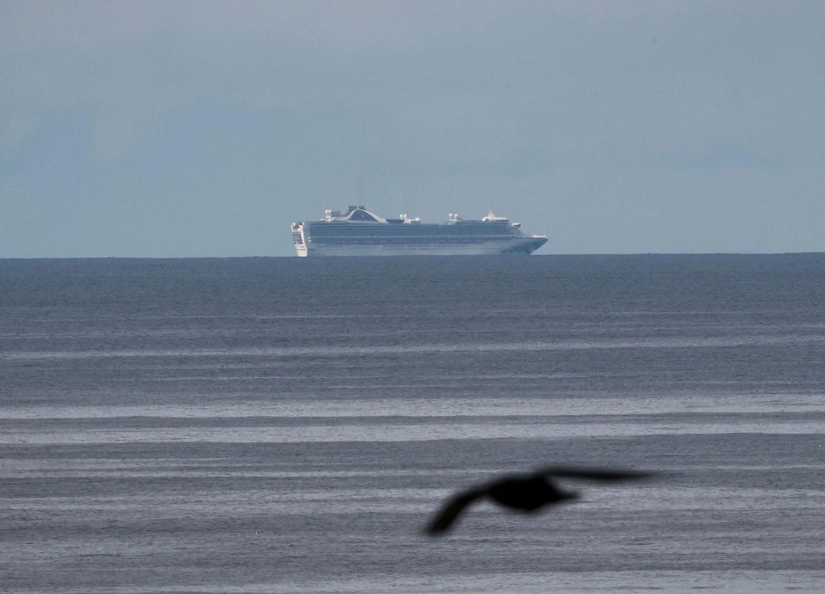 Americans Told to Avoid Cruises as Medical Team Boards Ship