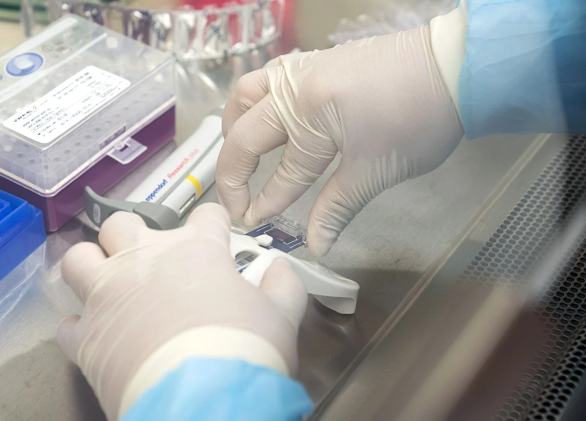 How Top Scientists Are Racing to Beat the Coronavirus