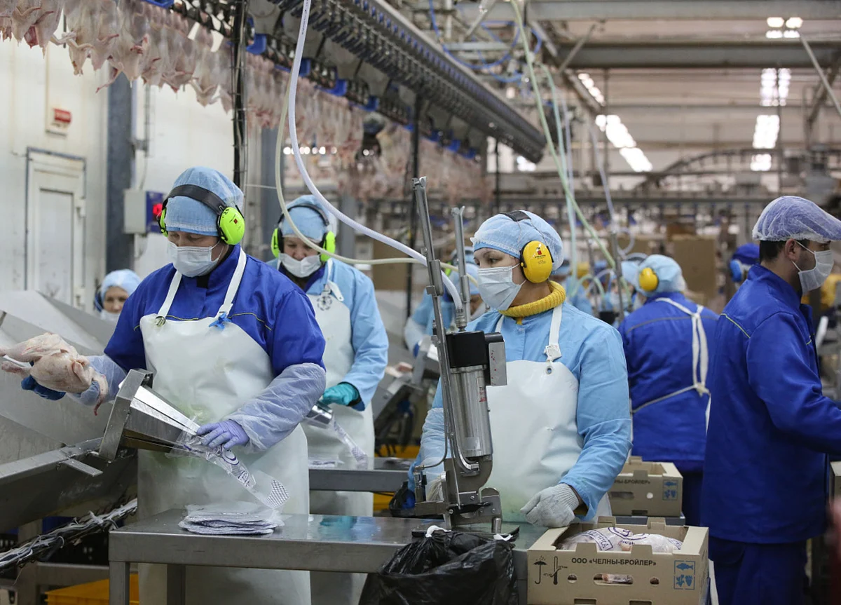 The Workers Who Supply the World’s Food Are Starting to Get Sick