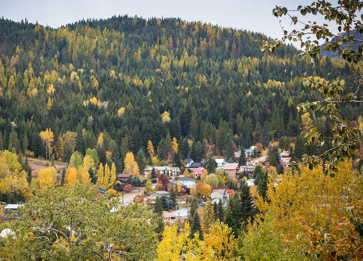 The Fancy Neighborhood of the Future Is an Earth-Friendly ‘Intentional Community’