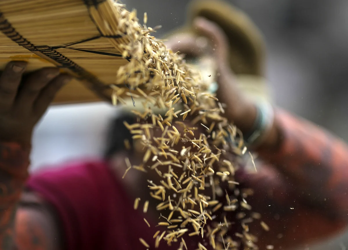 Government Sets Foodgrain Production Target At Record 298.3 Million Tonnes For 2020-21 Crop Year