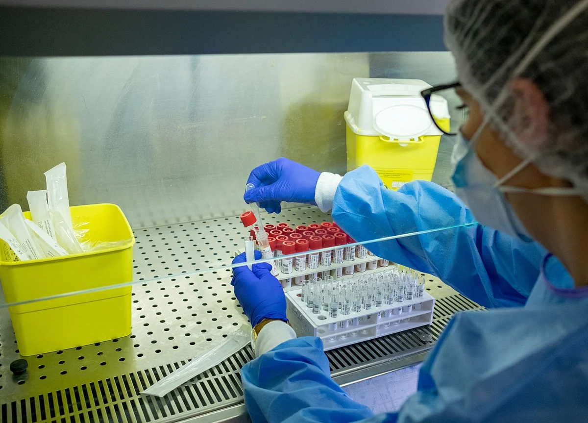 Southern States Start Reopenings; N.Y. Deaths Slow: Virus Update