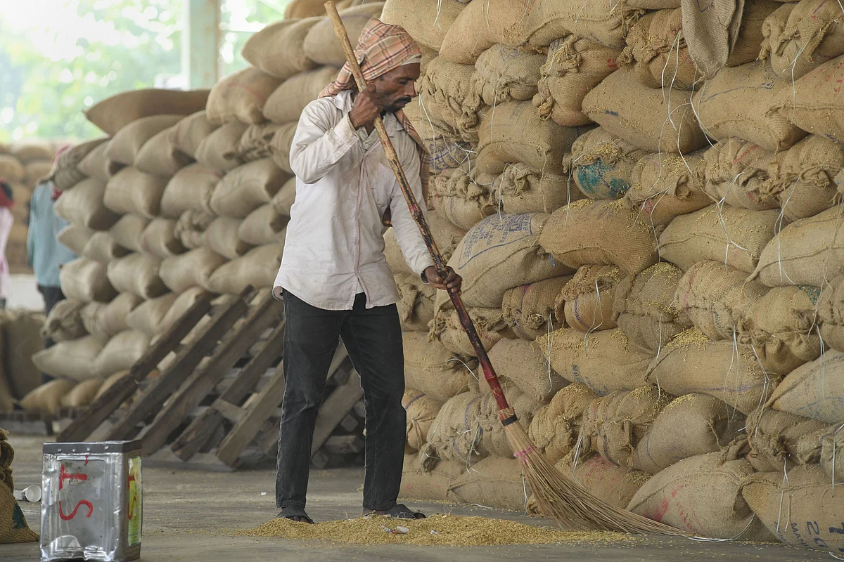 A worker sweeps near a pile of sacks of newly-harvested paddy grain, in Ambala, on Oct. 5, 2019. (Photograph: PTI)