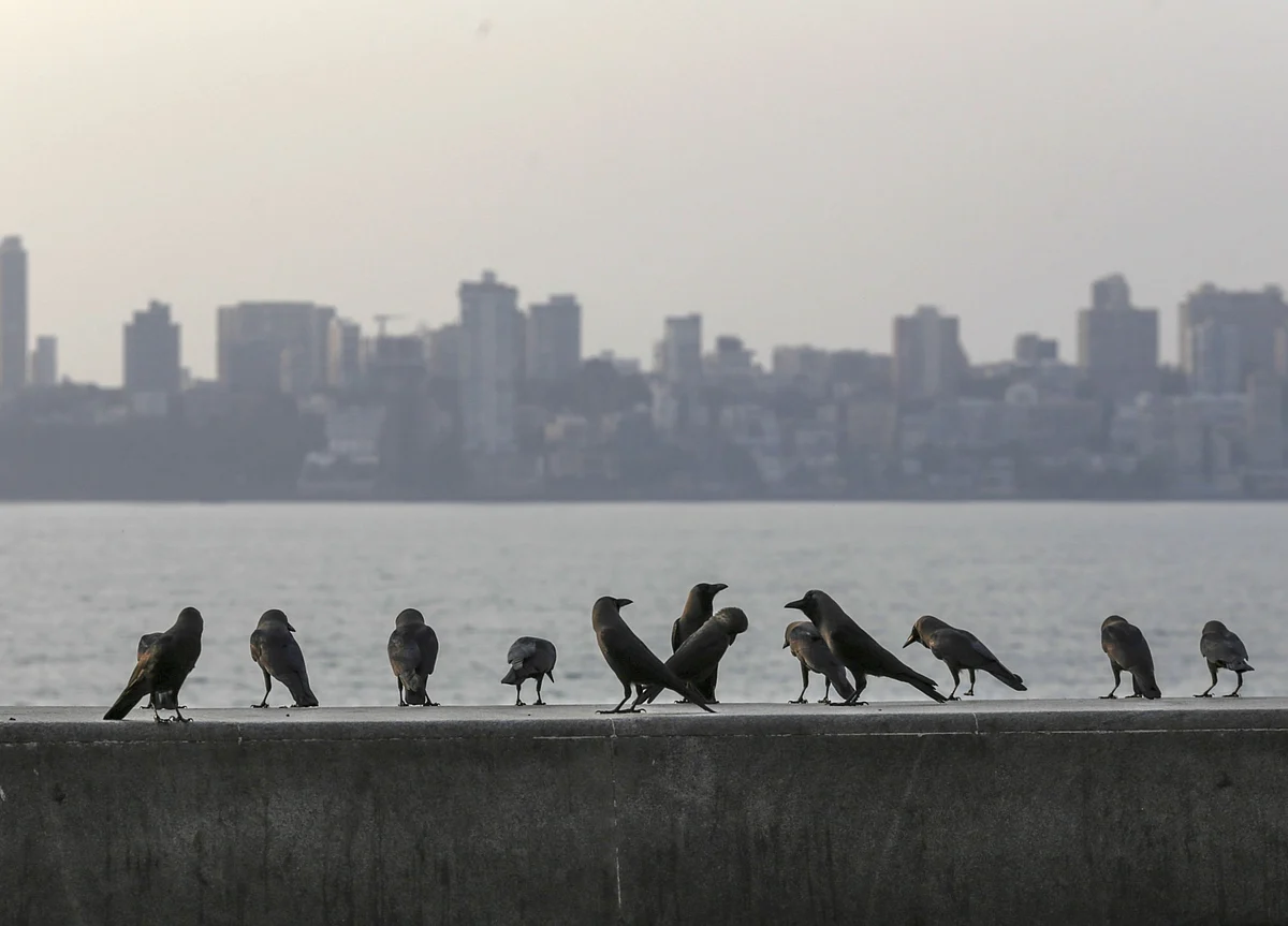 India’s State Borrowers Are Crowding Out Cash-Strapped Firms