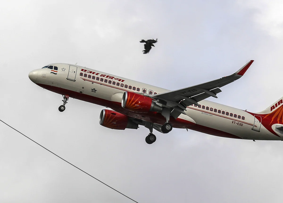 Air India Sale: Government Extends Bidding Deadline By Two Months To June 30
