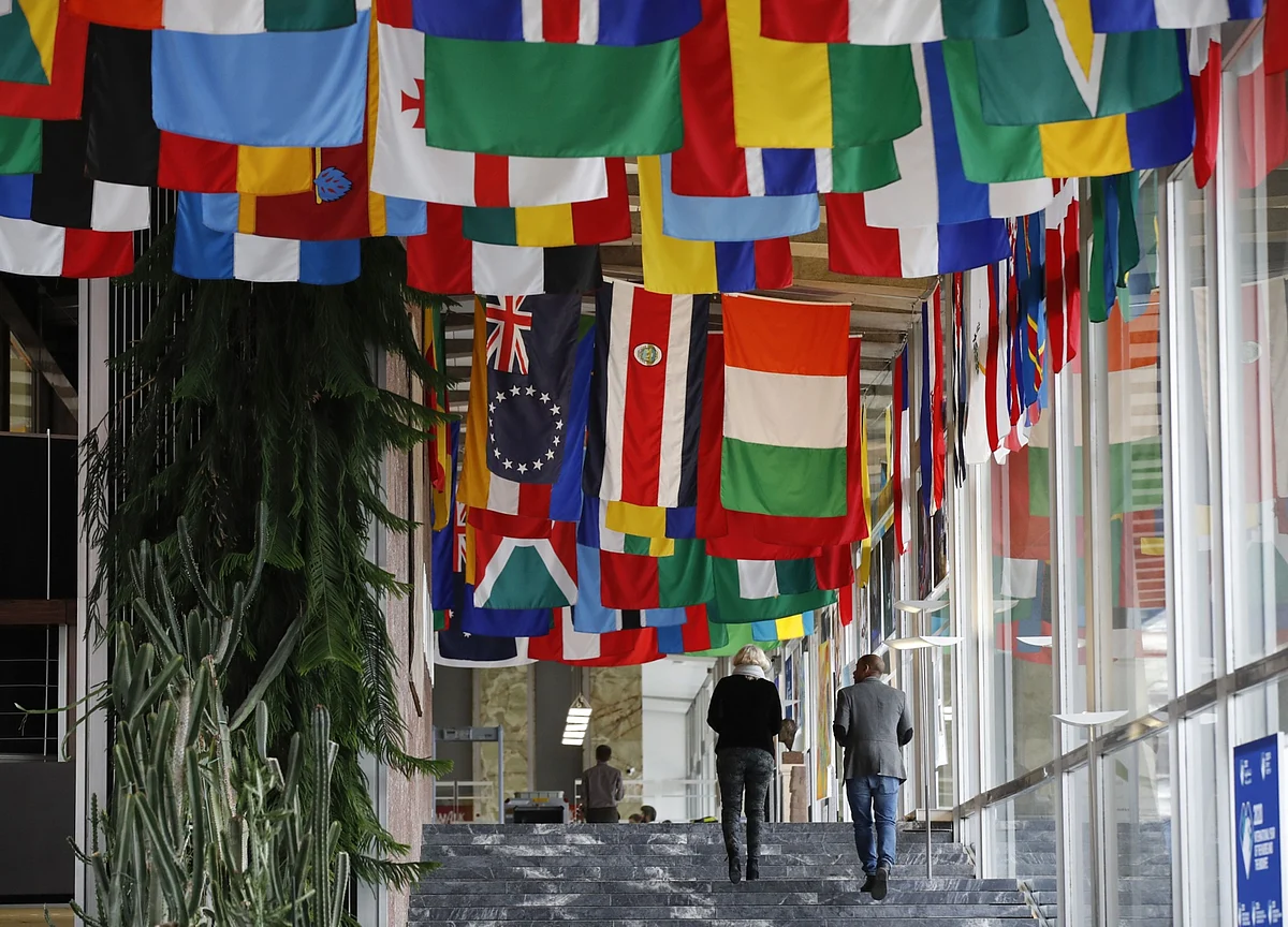 Trump’s WHO Attack Accelerates Breakdown in Global Cooperation