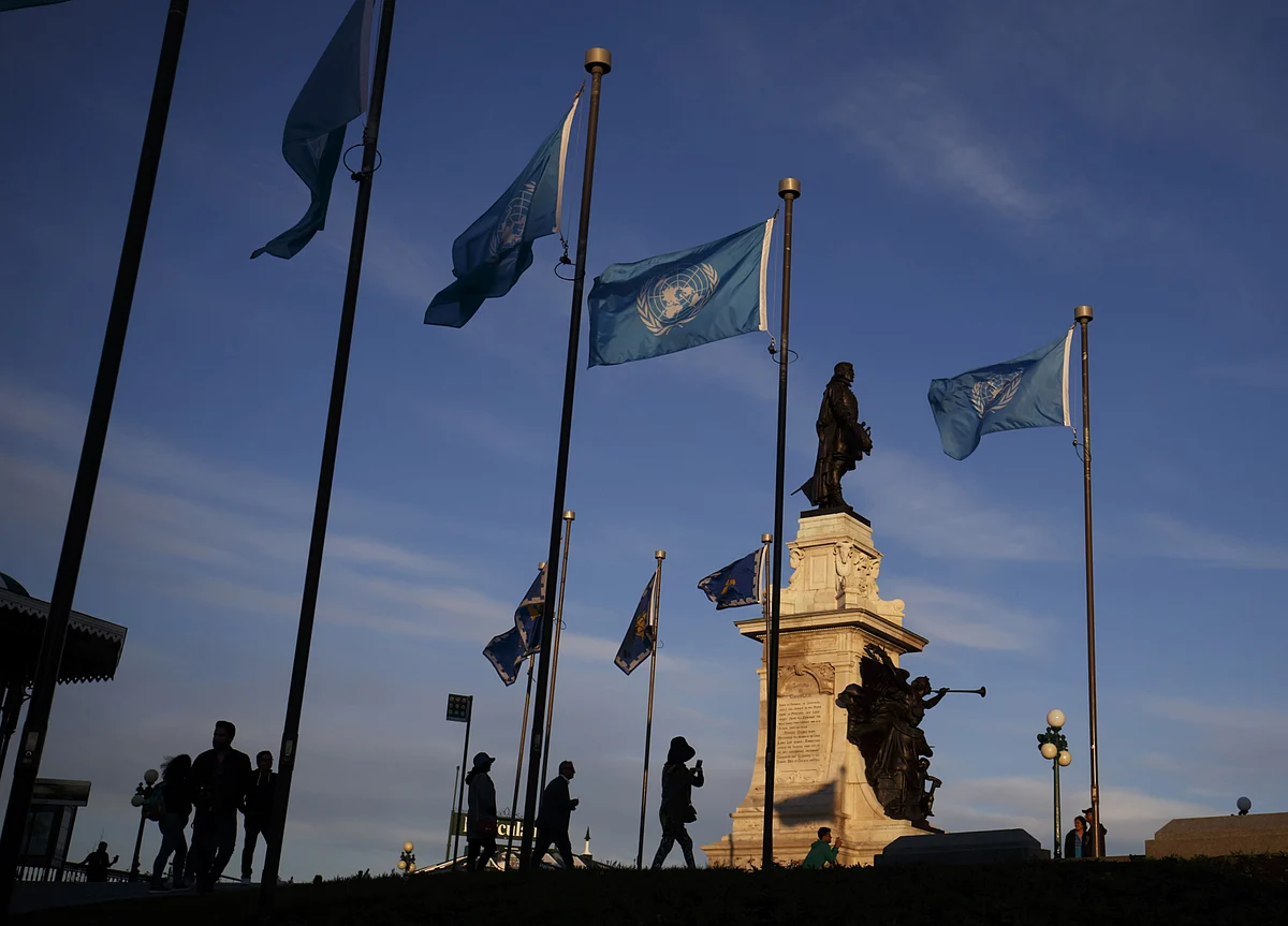 Global Climate Conference Postponed as World Grapples With Virus