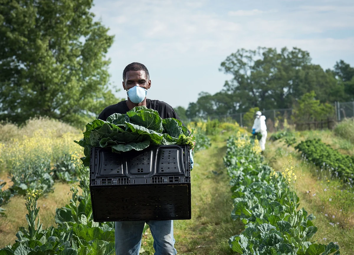 Trump Announces a $19 Billion Bailout for Ailing Farmers