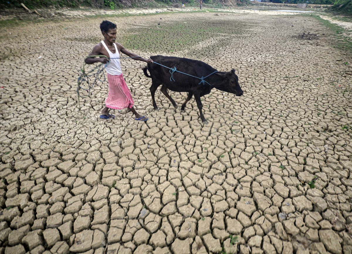 Virus Lockdown Subdues India’s ‘Animal Spirits’ in March