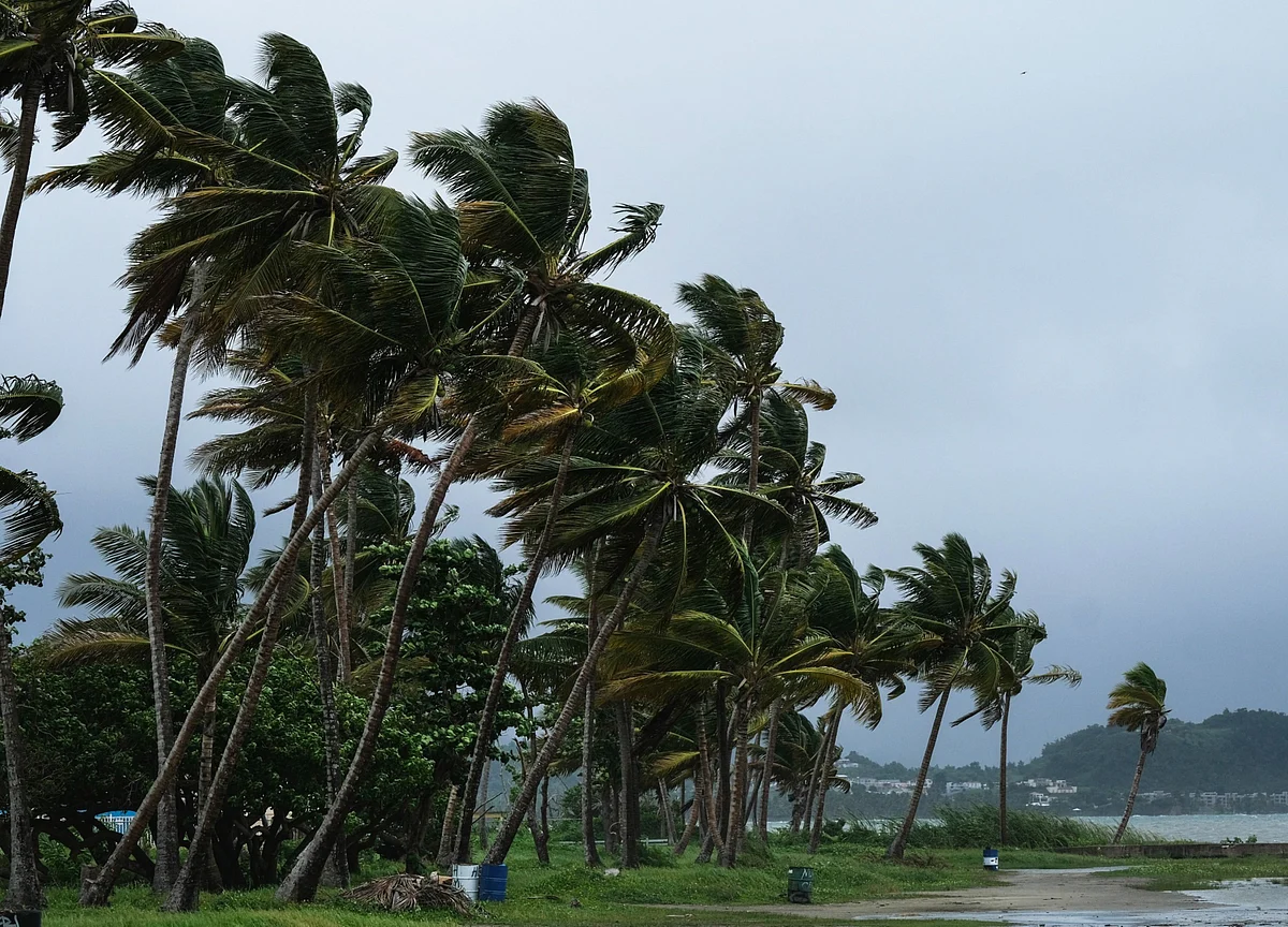 Covid-19: The Storm In The Commercial Contracts World