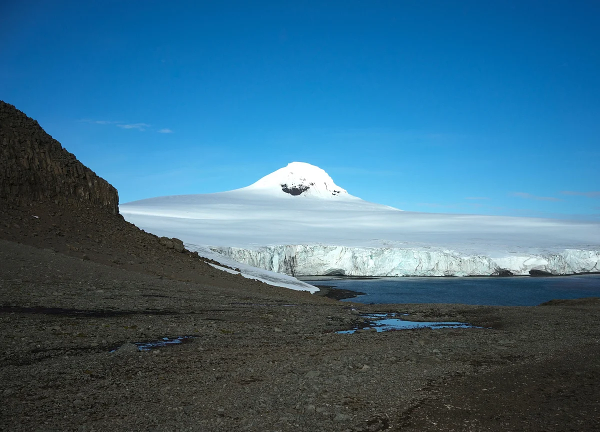 It’s Official: Antarctica Used to Have a Rainforest